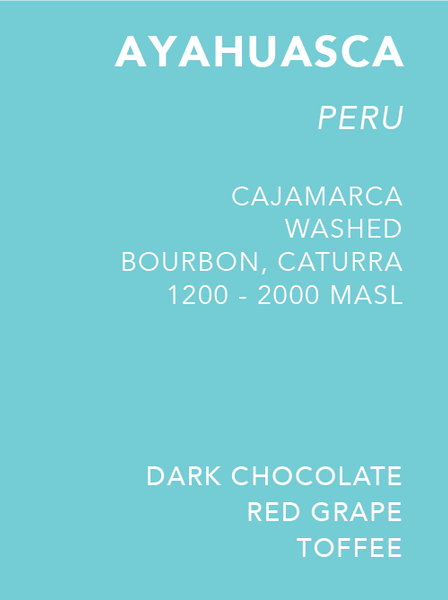 Ayahuasca (Single Origin Peruvian Coffee) – Docent Coffee